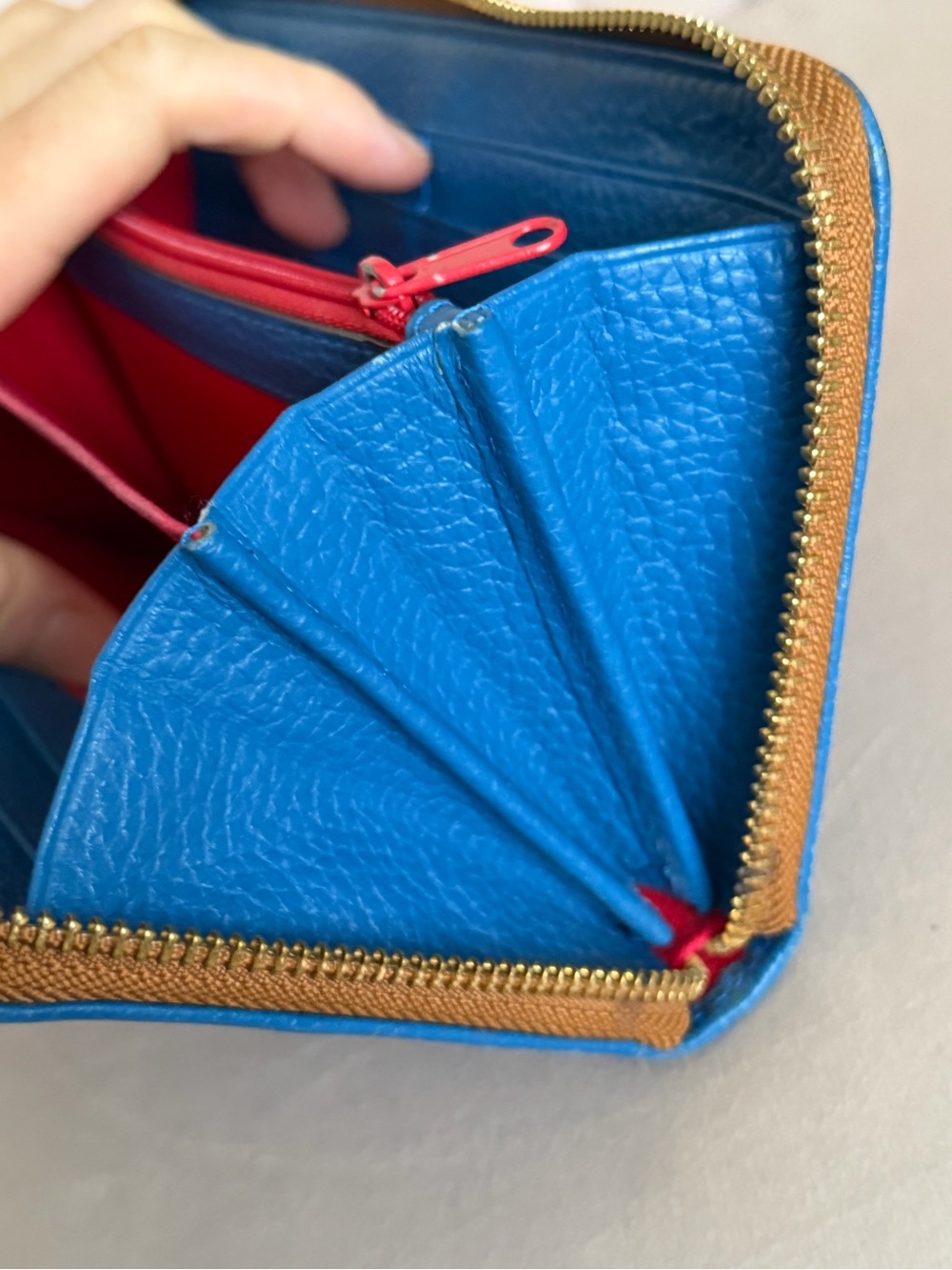 Dooney & Bourke Pebble Leather Zip Wallet in Blue - Picture 10 of 16